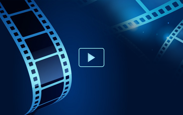Video kể chuyện - Lớp 1C Trường TH Lệ Chi